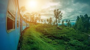 Viaggio in SRI LANKA 2024