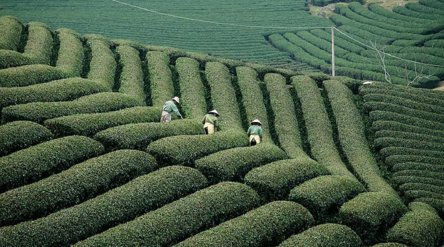 Meraviglioso VIETNAM – dal 10 al 21 agosto 2026